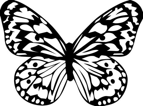 butterfly clip art|butterfly clip art black and white.